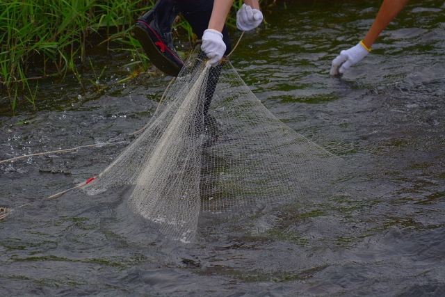 刺網について | 投網・刺し網の播磨漁具