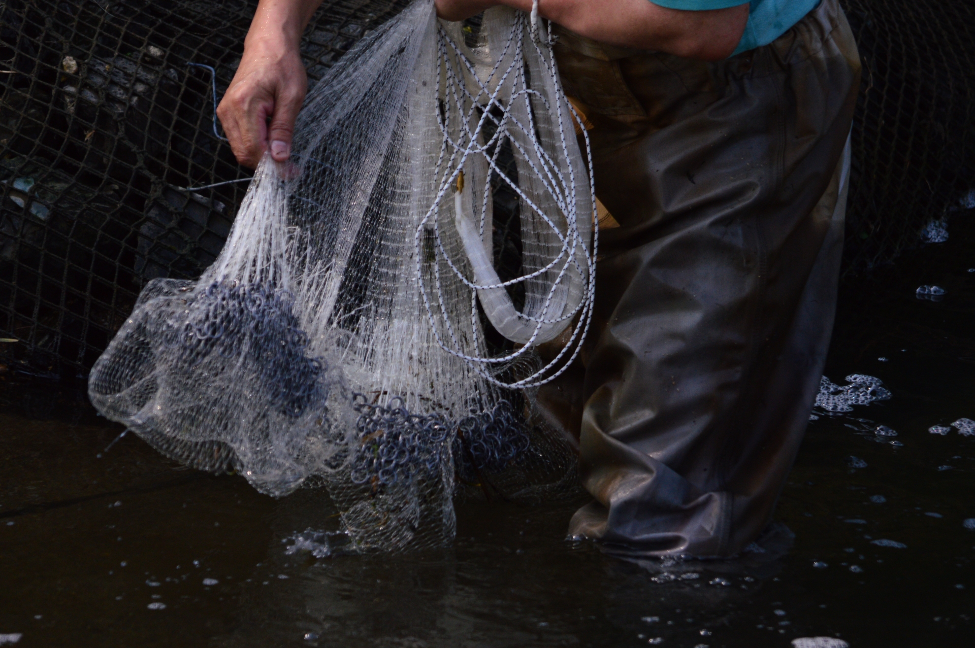 投網について | 投網・刺し網の播磨漁具